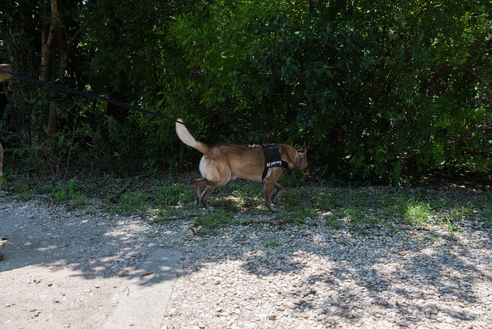 Peace Officers Memorial Day K9 Competition