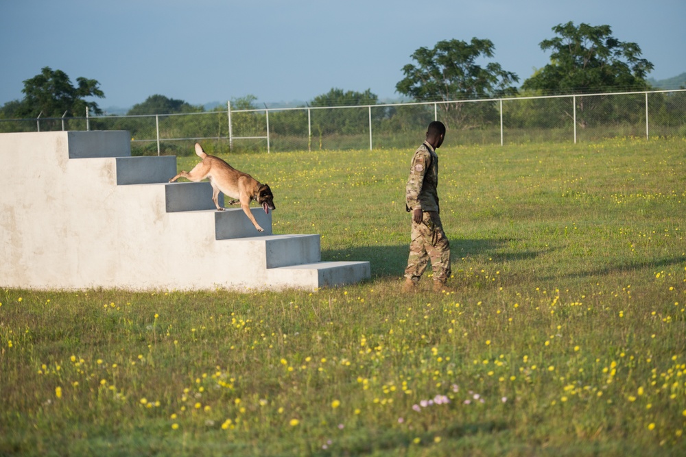 Peace Officers Memorial Day K9 Competition