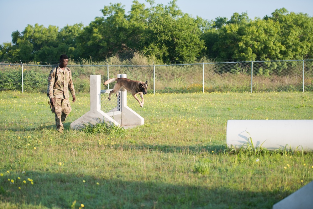 Peace Officers Memorial Day K9 Competition