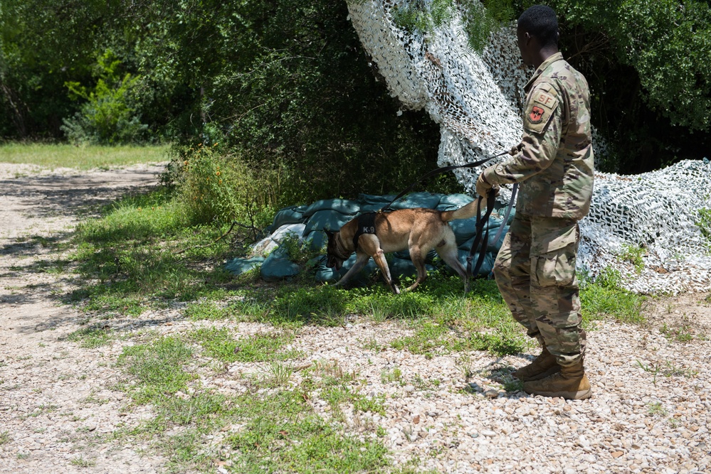 Peace Officers Memorial Day K9 Competition