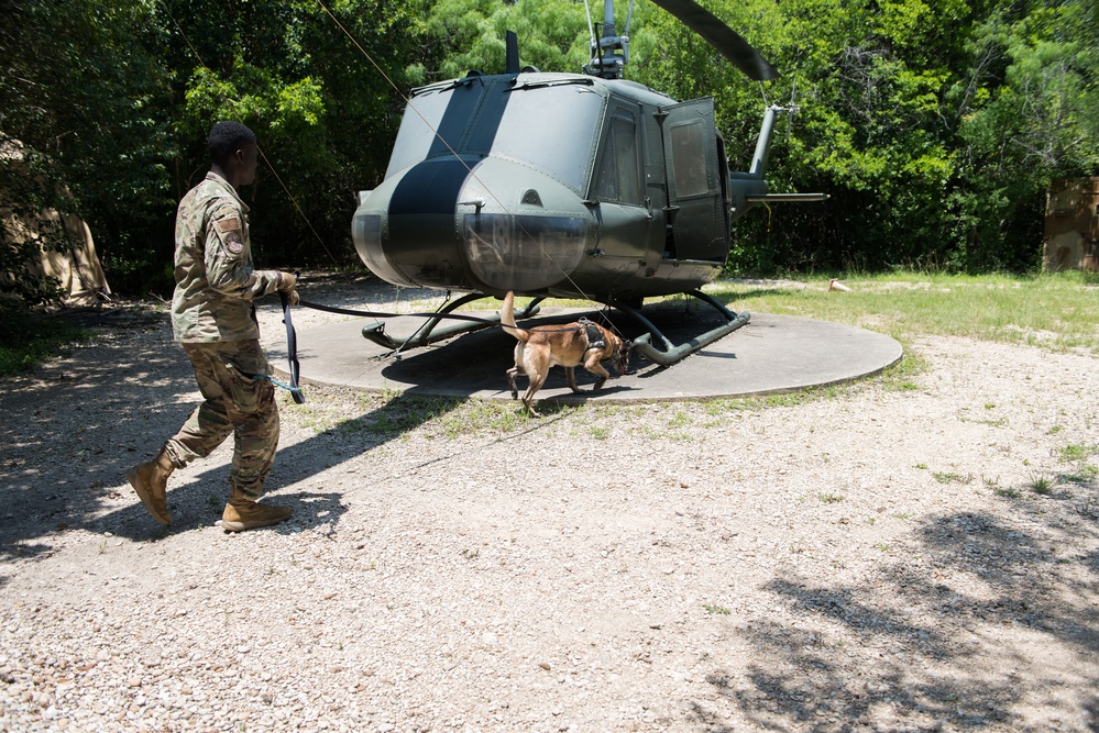 Peace Officers Memorial Day K9 Competition