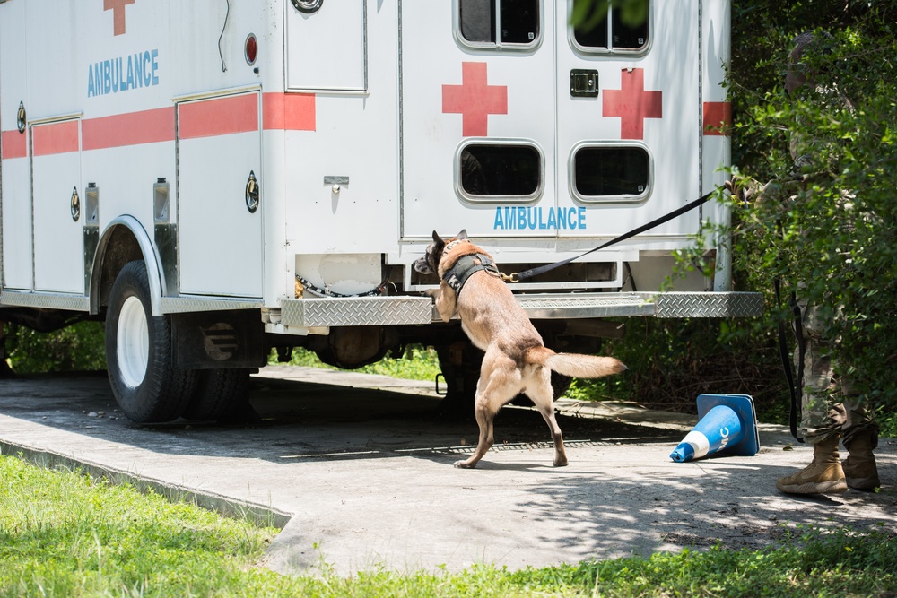 Peace Officers Memorial Day K9 Competition