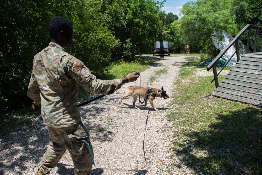 Peace Officers Memorial Day K9 Competition