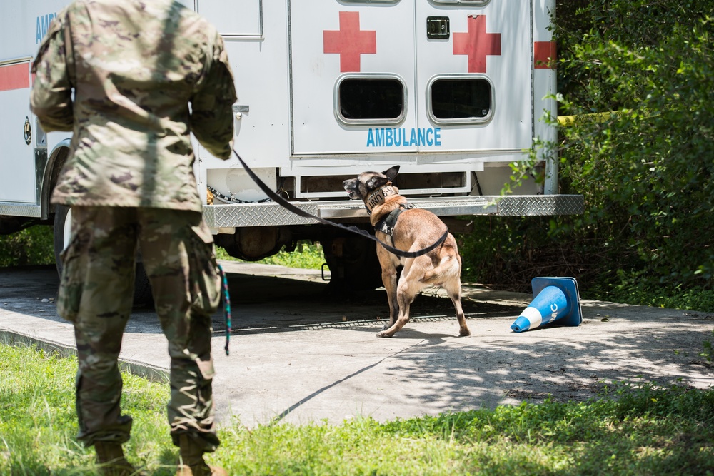 Peace Officers Memorial Day K9 Competition