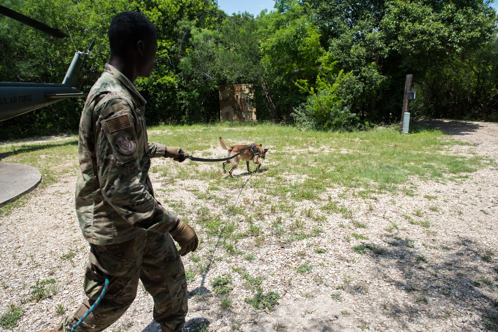 Peace Officers Memorial Day K9 Competition