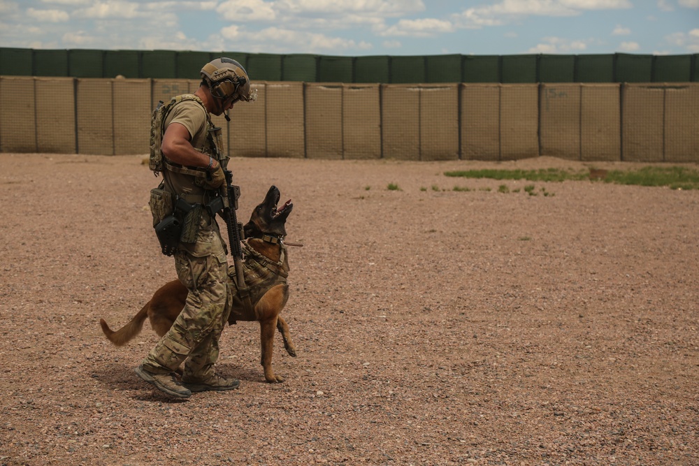 10th Group Green Berets, K9s, and Law Enforcement Training Together
