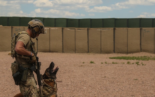 10th Group Green Berets, K9s, and Law Enforcement Training Together