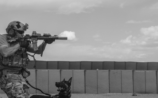 10th Group Green Berets, K9s, and Law Enforcement Training Together