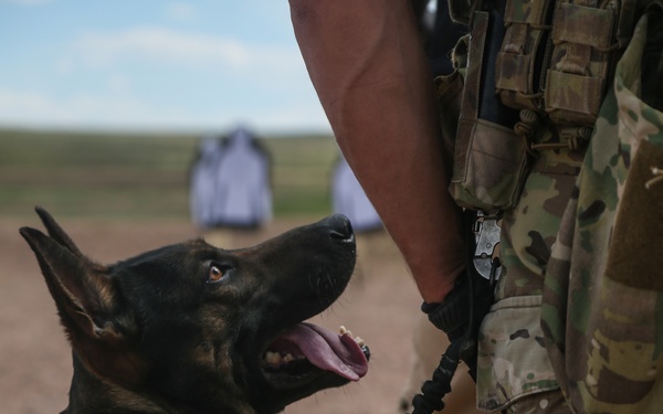 10th Group Green Berets, K9s, and Law Enforcement Training Together