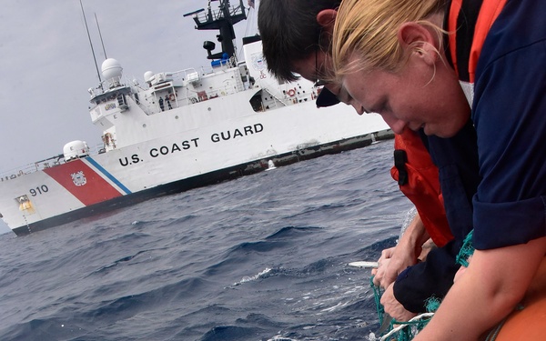 Coast Guard Cutter Thetis crew rescues 2 loggerhead sea turtles in Gulf of Guinea