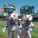 Fleet Week at the New York Mets