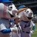 Fleet Week at the New York Mets