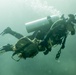 Okinawa divers clean the ocean floor at North Steps