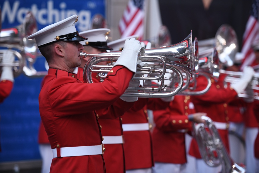 Fox &amp; Friends: Battle Colors Detachment