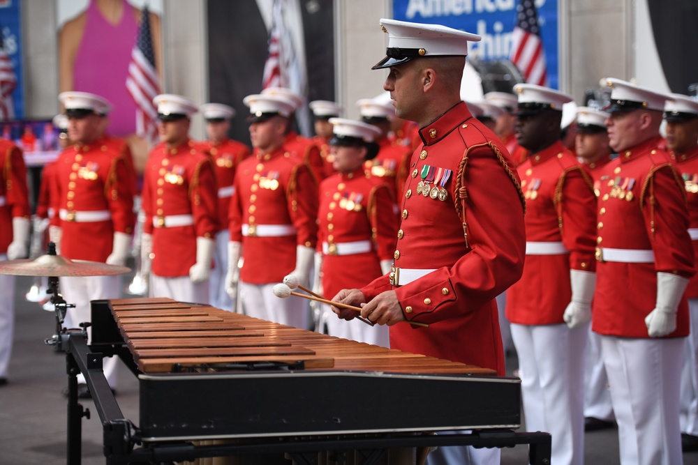 Fox &amp; Friends: Battle Colors Detachment