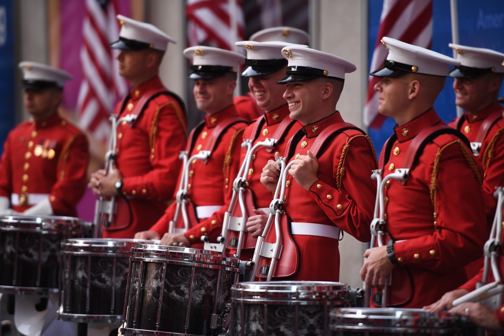 Fox &amp; Friends: Battle Colors Detachment