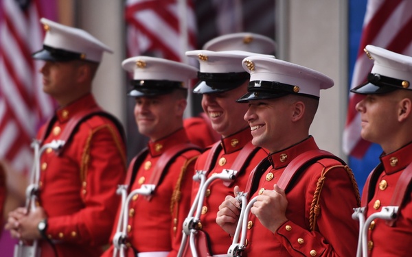 Fox &amp; Friends: Battle Colors Detachment