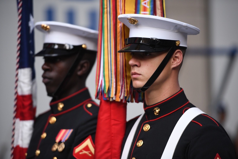 Fox &amp; Friends: Battle Colors Detachment