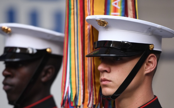 Fox &amp; Friends: Battle Colors Detachment