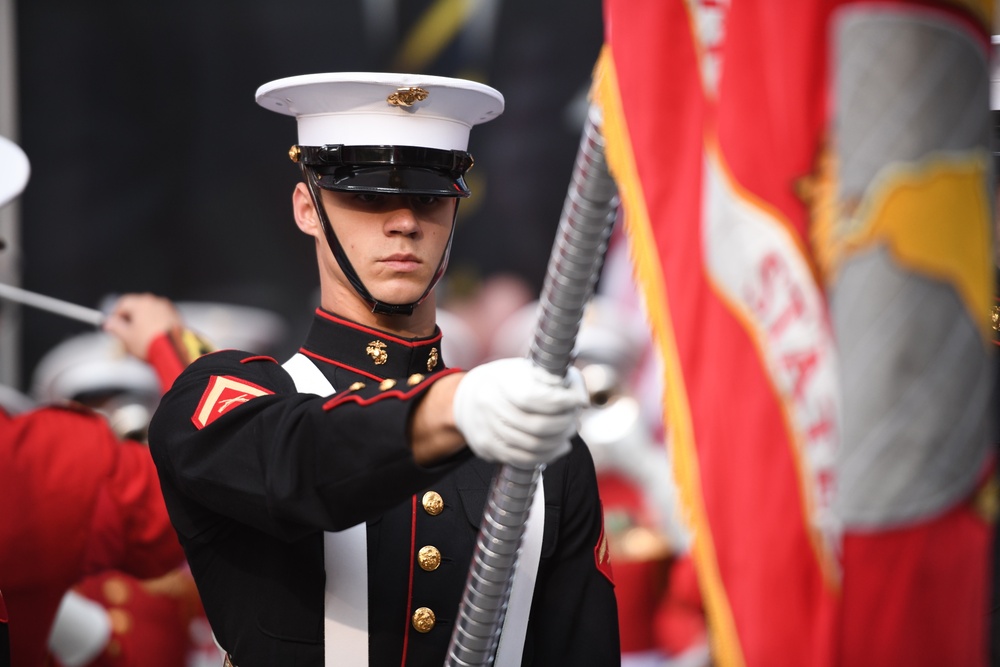 Fox &amp; Friends: Battle Colors Detachment