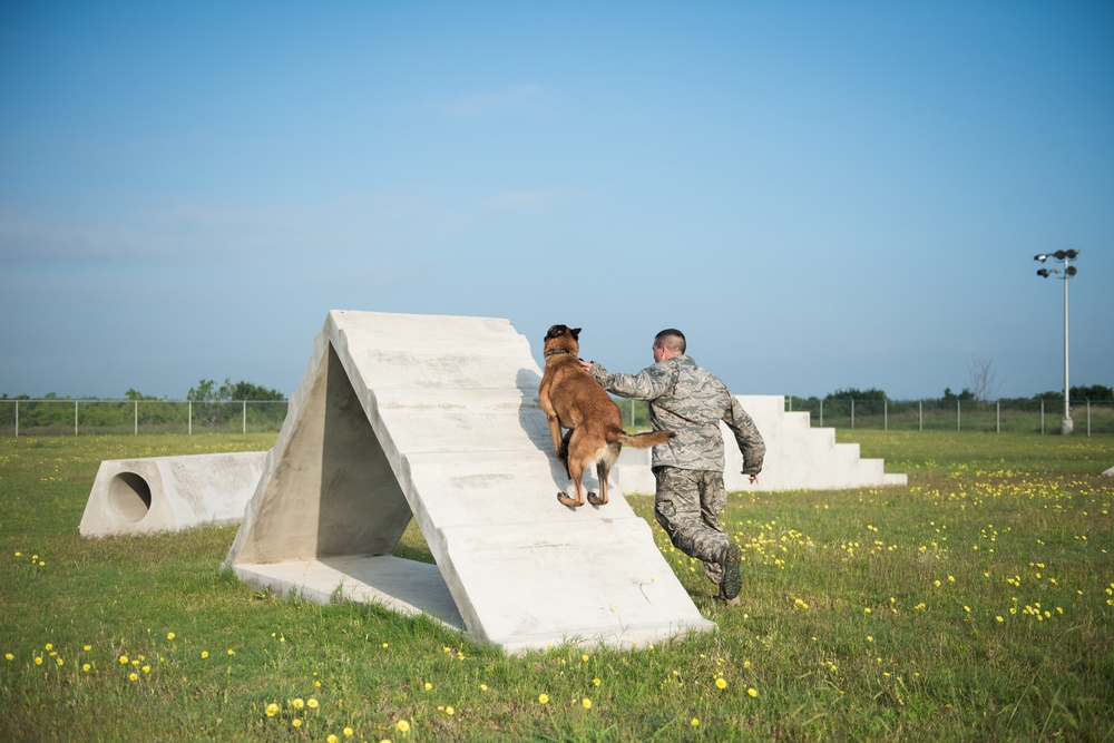 Peace Officers Memorial Day K9 Competition