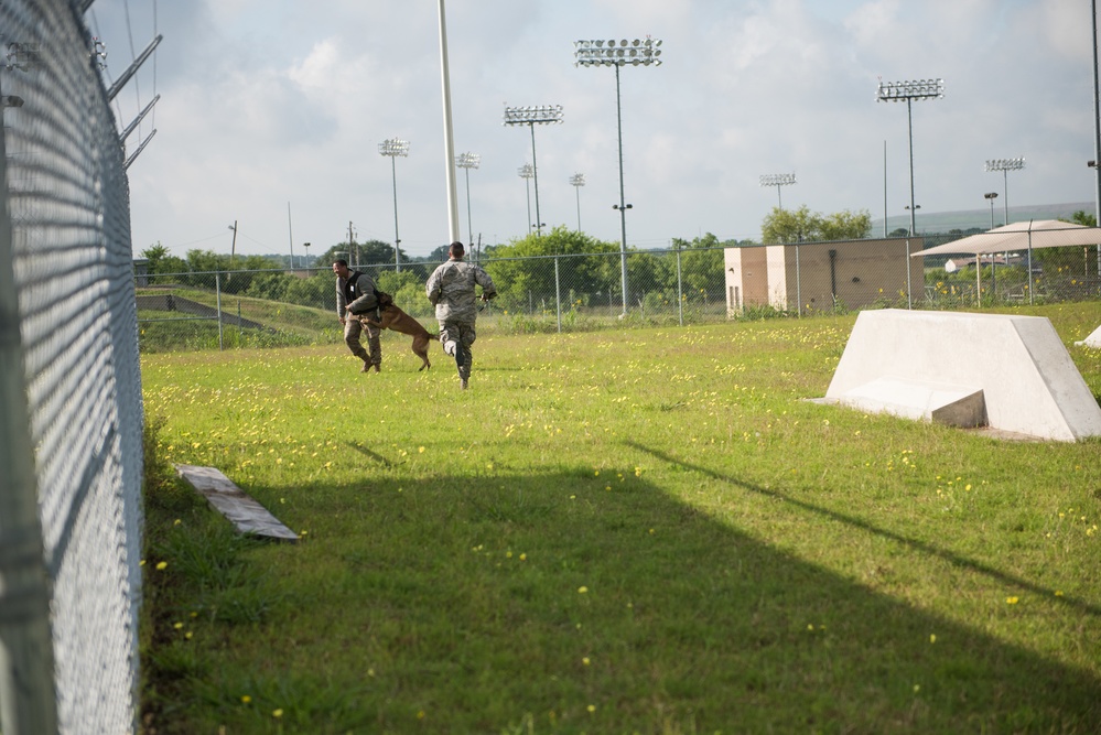 Peace Officers Memorial Day K9 Competition