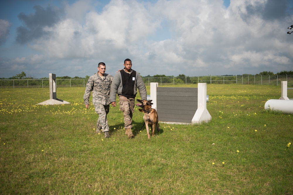 Peace Officers Memorial Day K9 Competition