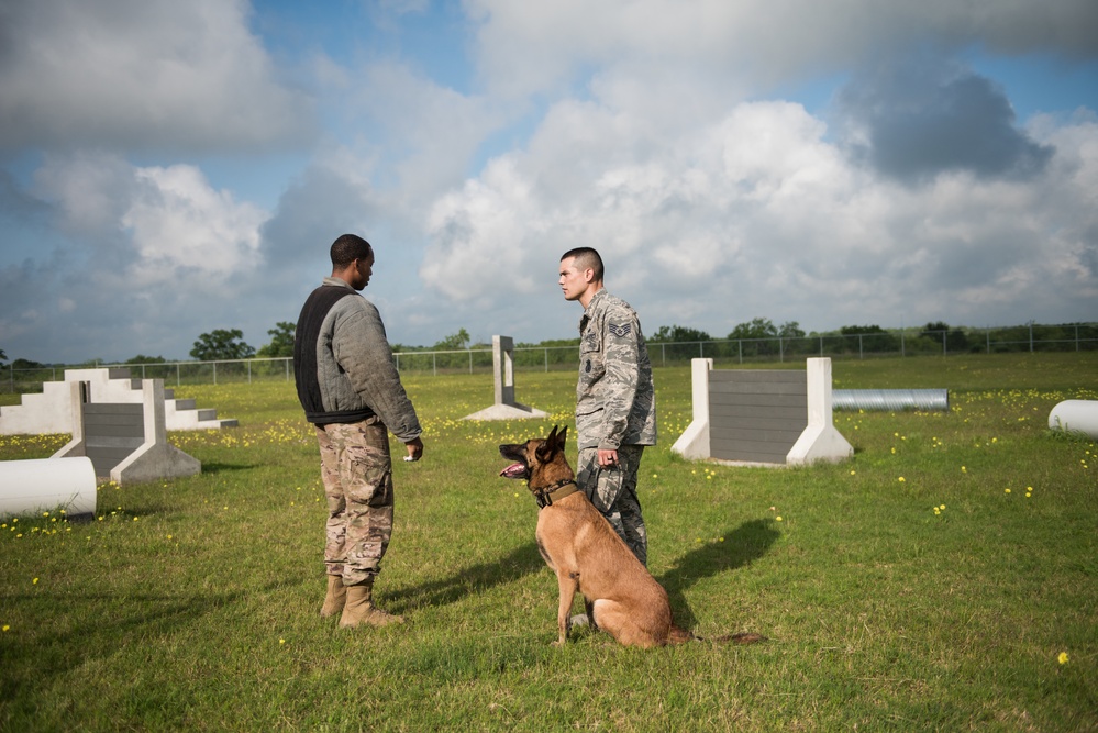 Peace Officers Memorial Day K9 Competition