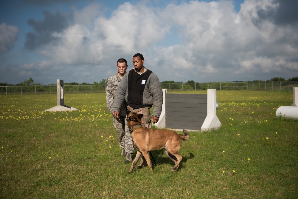 Peace Officers Memorial Day K9 Competition