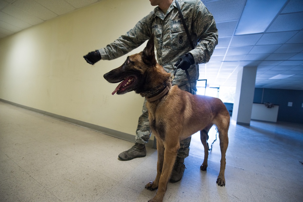 Peace Officers Memorial Day K9 Competition