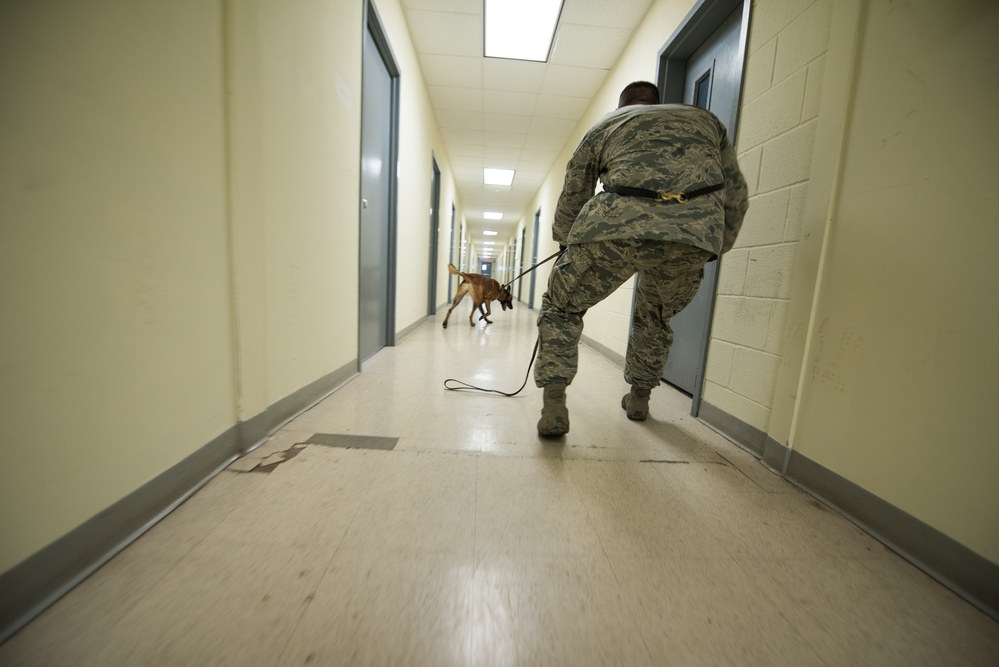 Peace Officers Memorial Day K9 Competition