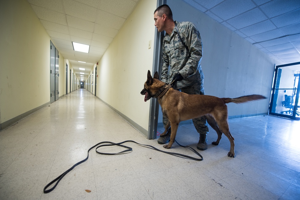 Peace Officers Memorial Day K9 Competition