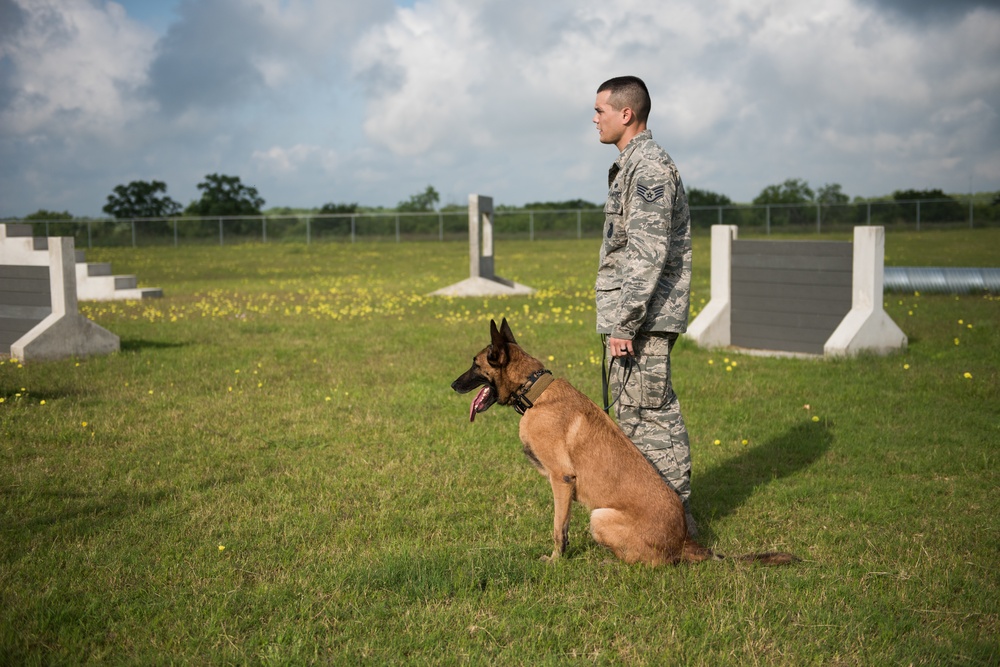 Peace Officers Memorial Day K9 Competition