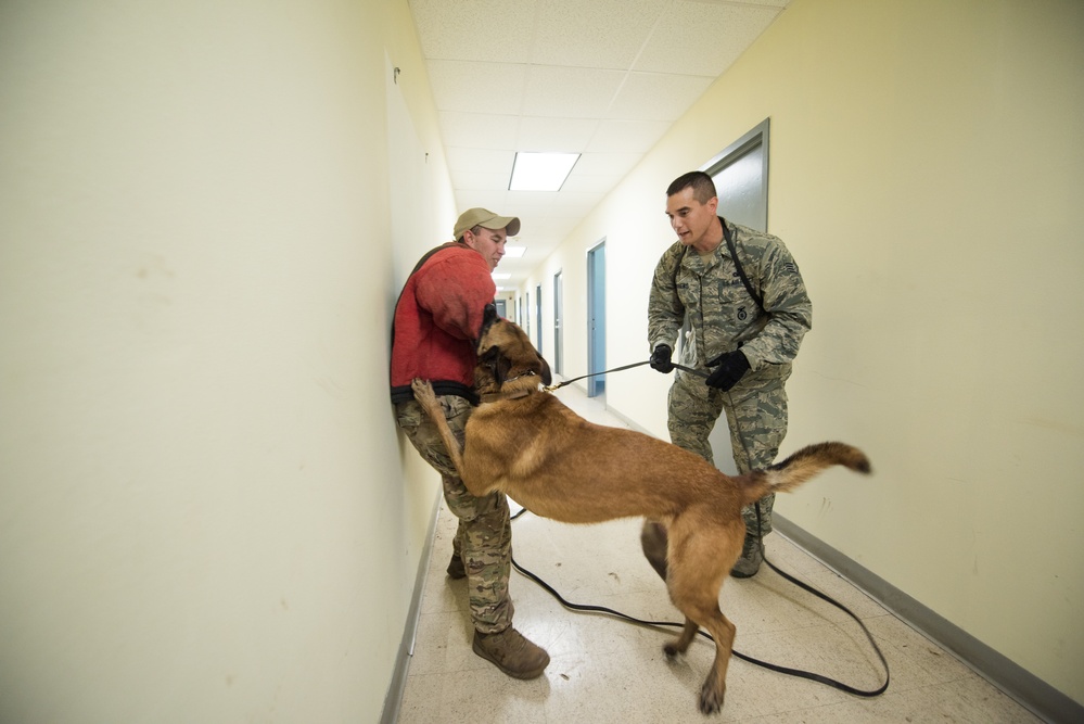 Peace Officers Memorial Day K9 Competition