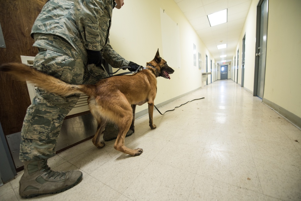 Peace Officers Memorial Day K9 Competition