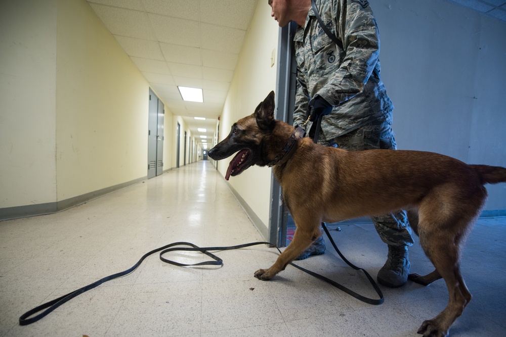 Peace Officers Memorial Day K9 Competition