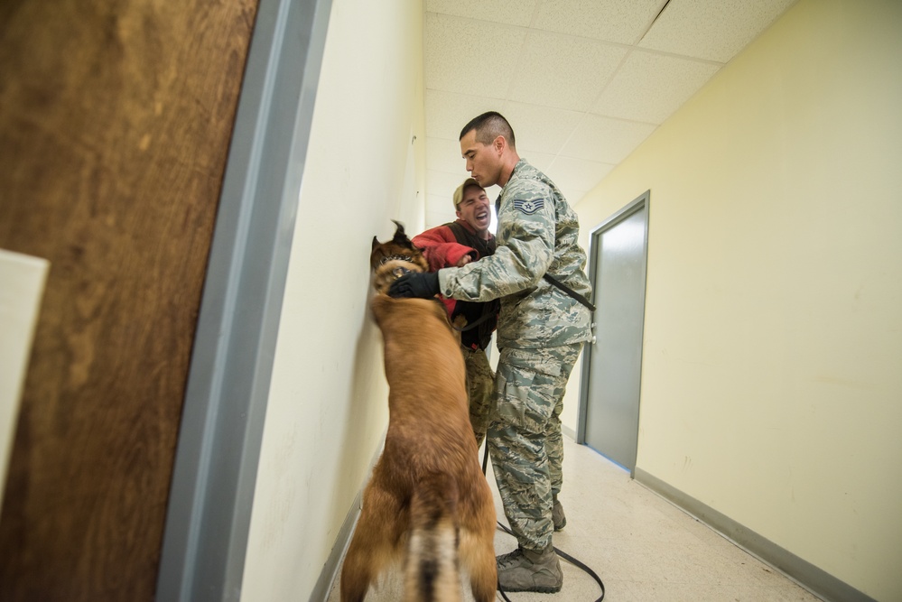 Peace Officers Memorial Day K9 Competition