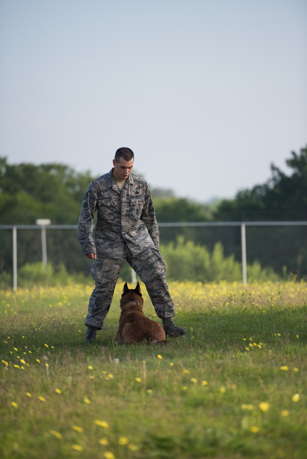 Peace Officers Memorial Day K9 Competition