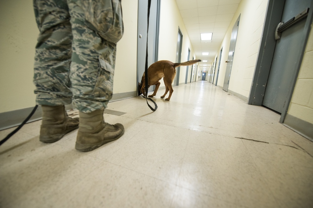 Peace Officers Memorial Day K9 Competition