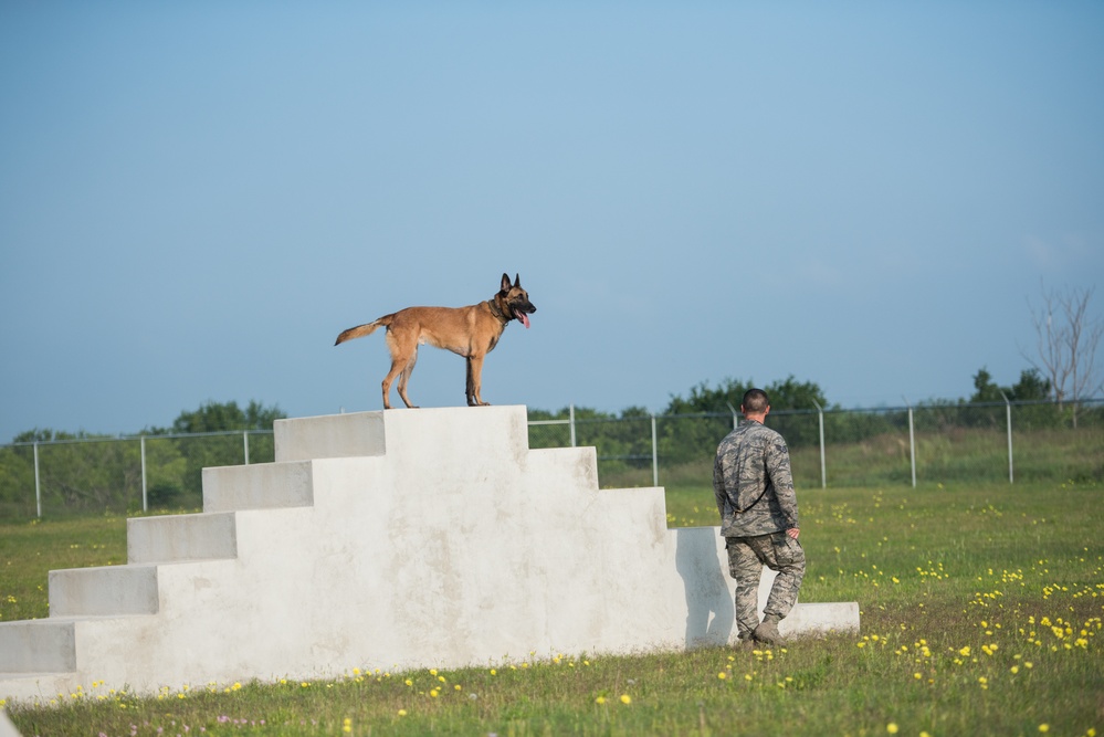 Peace Officers Memorial Day K9 Competition