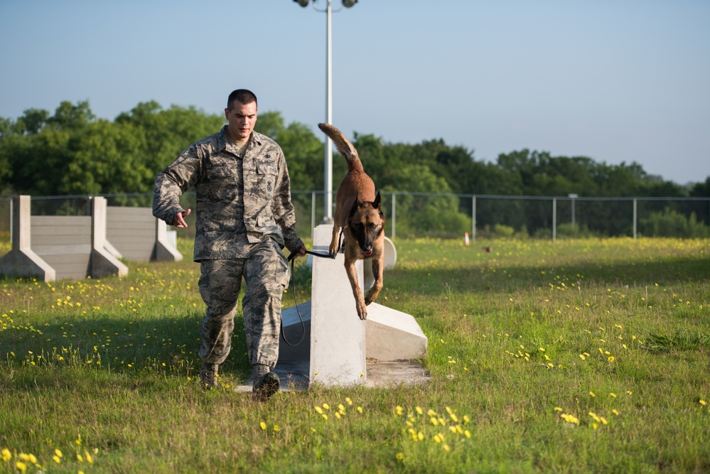 Peace Officers Memorial Day K9 Competition