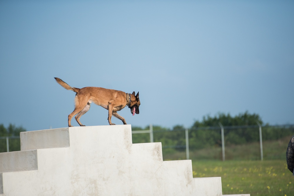 Peace Officers Memorial Day K9 Competition