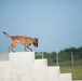 Peace Officers Memorial Day K9 Competition