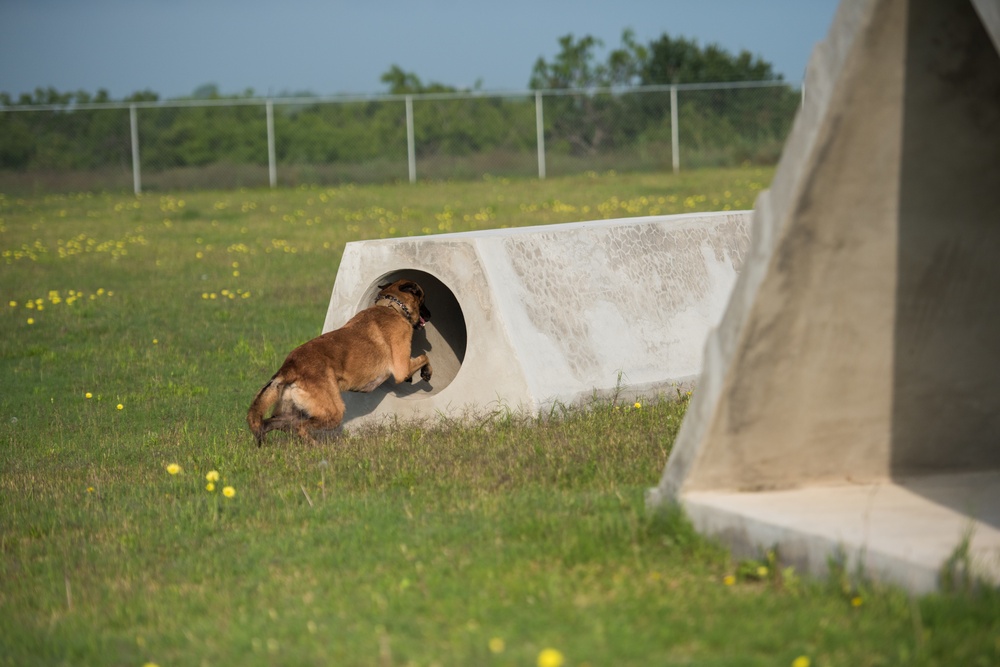 Peace Officers Memorial Day K9 Competition