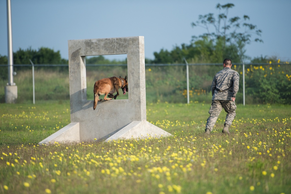 Peace Officers Memorial Day K9 Competition