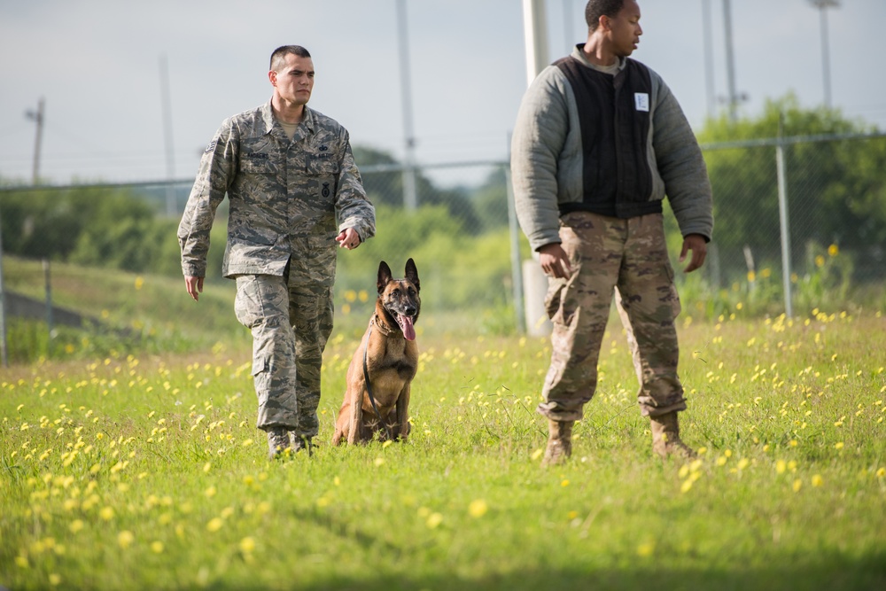 Peace Officers Memorial Day K9 Competition