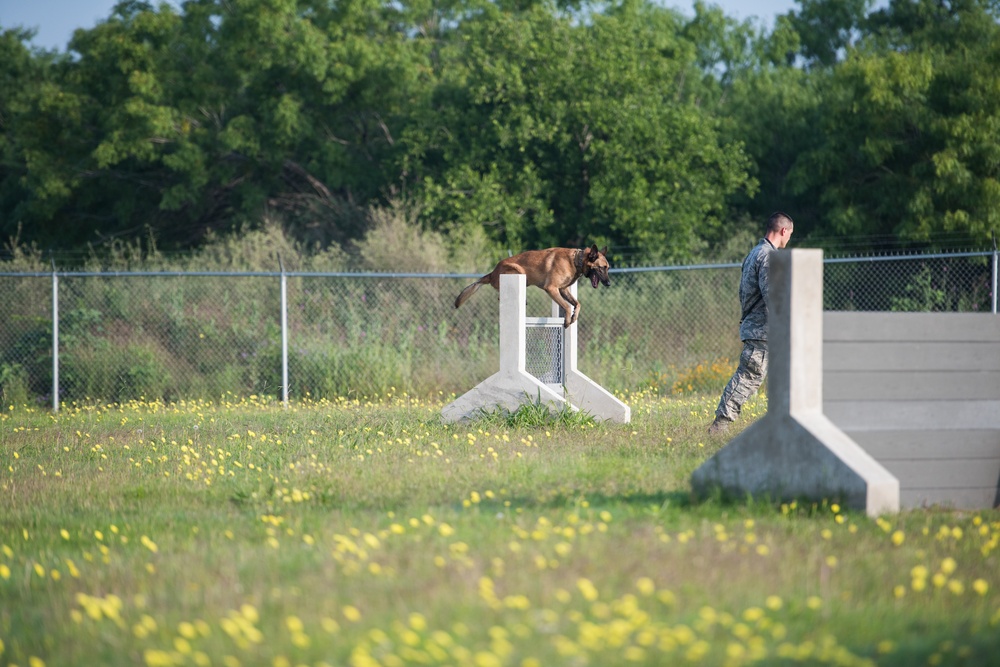 Peace Officers Memorial Day K9 Competition