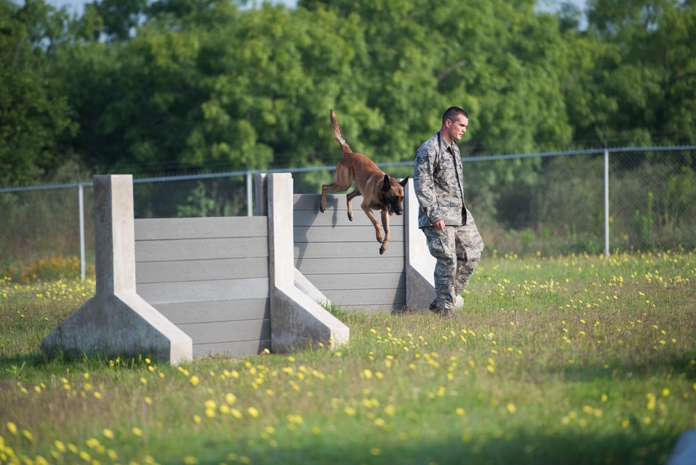 Peace Officers Memorial Day K9 Competition