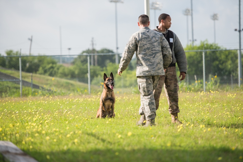 Peace Officers Memorial Day K9 Competition