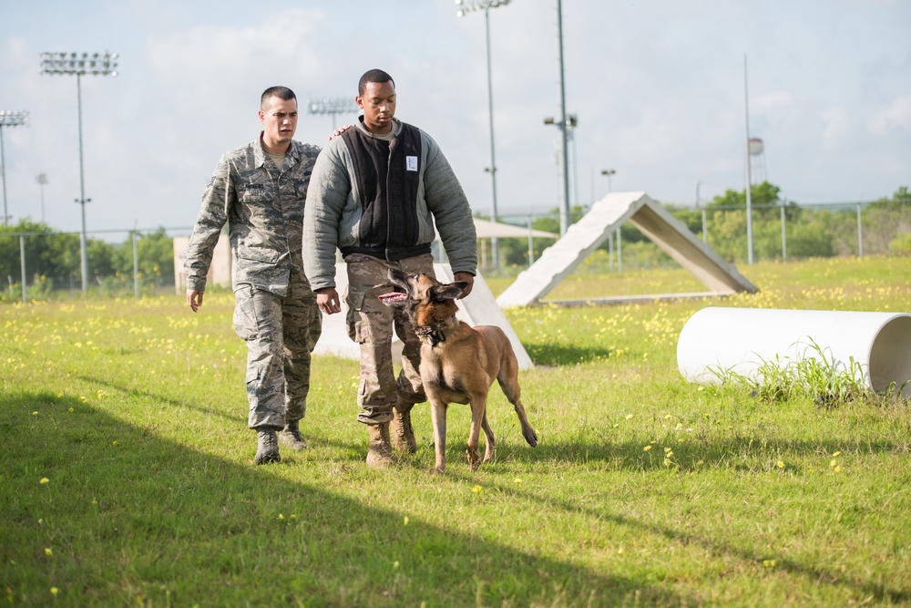 Peace Officers Memorial Day K9 Competition